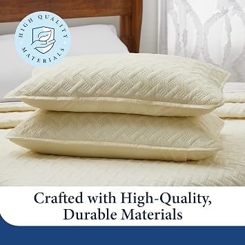 Cosy House Collection Luxury Rayon Derived from Bamboo 2-Piece Quilt Set