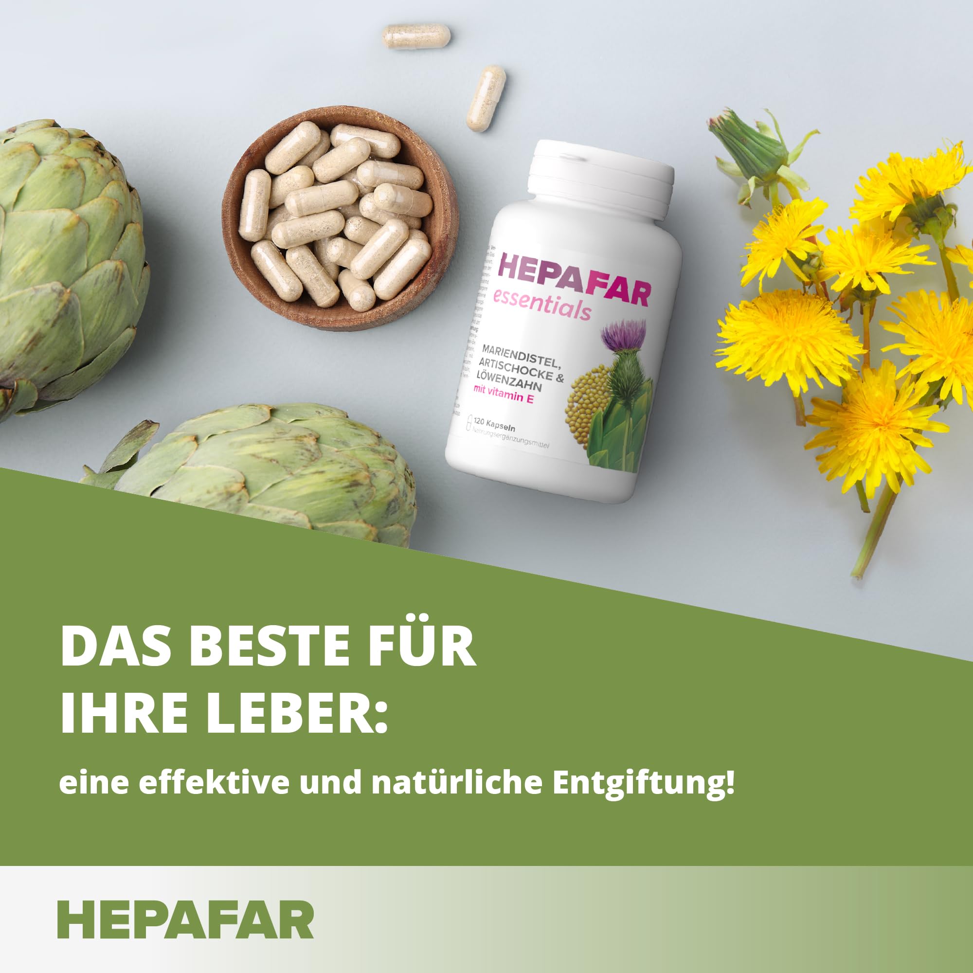 Sensilab Leberkur – 120 Hochdosierte Mariendistel Kapseln für 120 Tage – Leber Kur, Leber Komplex & Fettstoffwechsel – Mariendistel, Artischocke, Löwenzahn, Vitamin E – 80% Silymarin – Hepafar