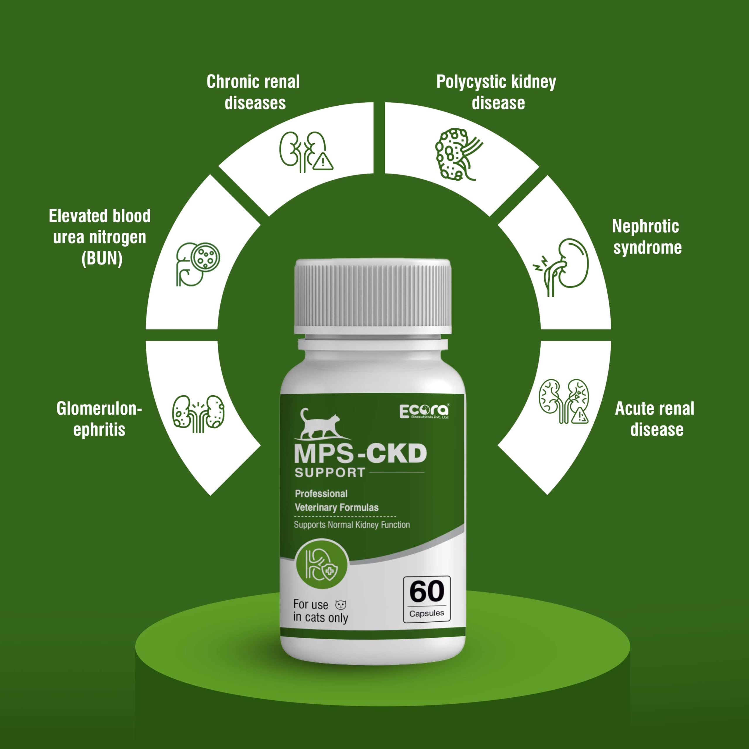 MPS-CKD Support for Cats – Kidney Health Supplement – 60 Capsules – Advanced Renal Care Formula with Natural Ingredients 1
