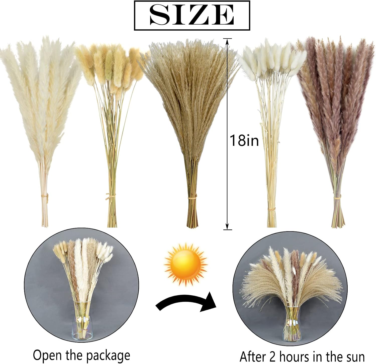 120 Pcs Pampas Grass 18" Tall Dried Pompous Grass Boho Decor Flower Arrangement - 15Pcs White Pampas & 15Pcs Brown Pampas & 50Pcs Reed & 20Pcs White Bunny Tail Grass & 20Pcs Natural Bunny Tail Grass