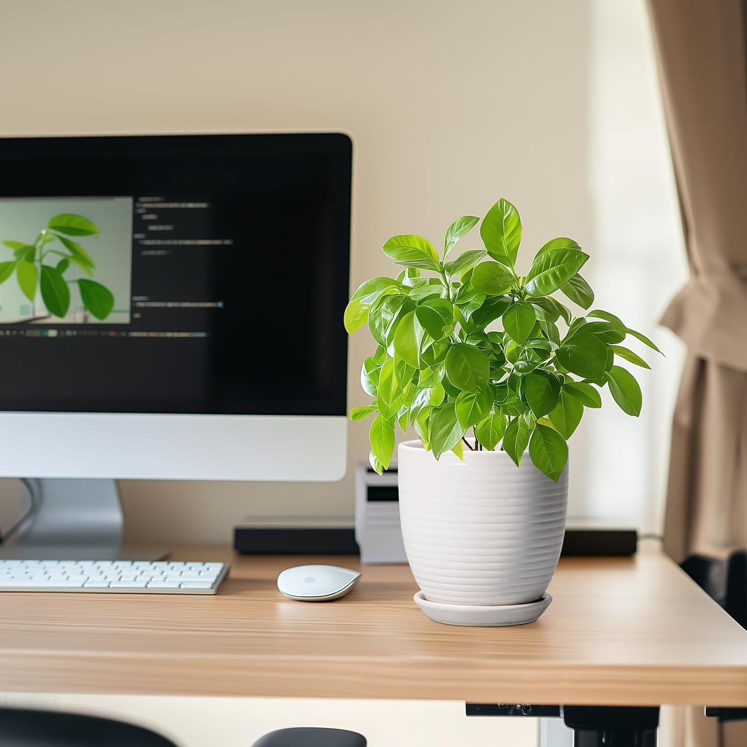 Ceramic Pots for Plants - 6 Inch Plant Pot with Drainage Hole and Saucer, Round Planters for Indoor Outdoor, Flower Pots, Modern Planter, Home Office Room Decor, Gifts for Plant Lovers, White - Image 5