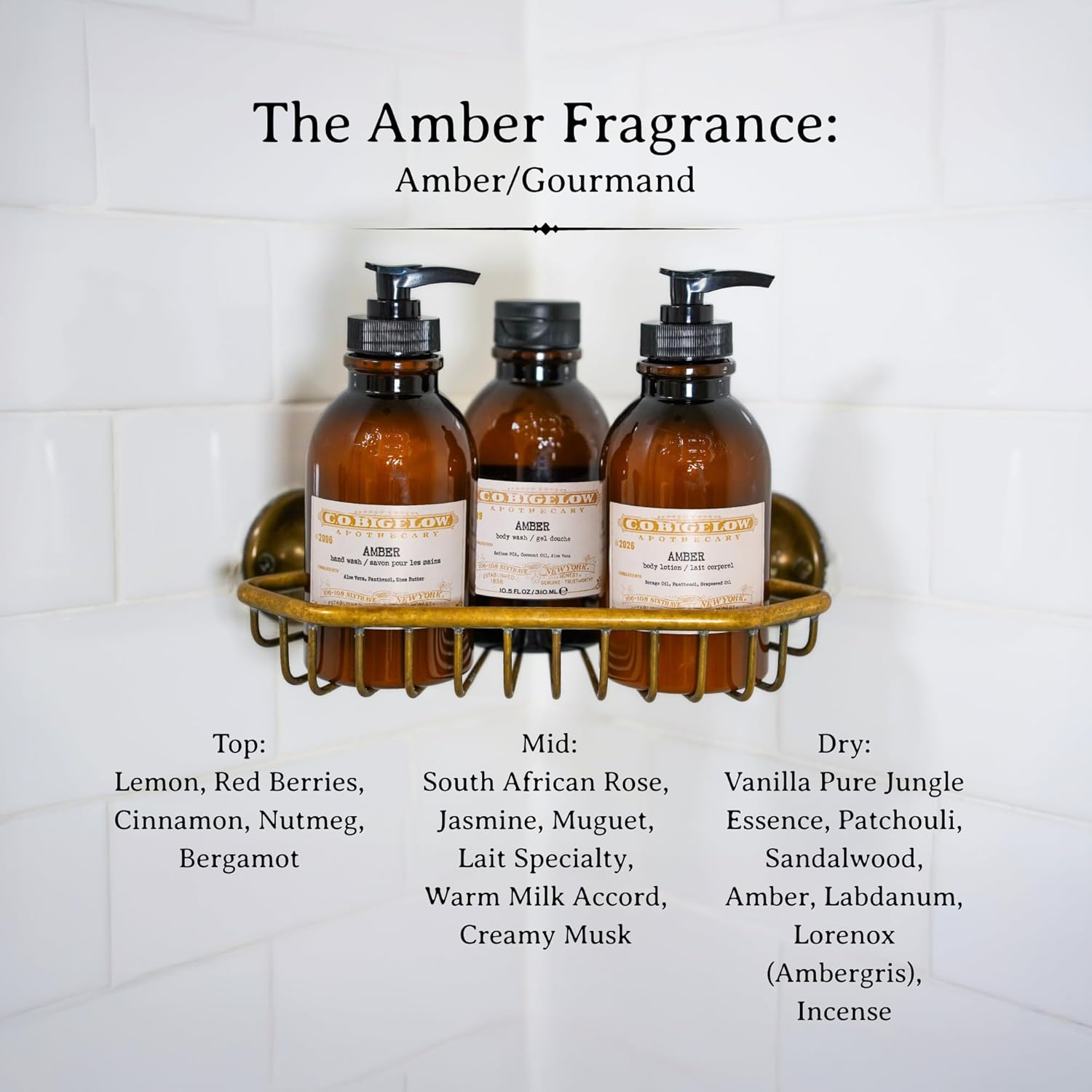 C.O. Bigelow Iconic Collection Amber Body Lotion, Scented Body Cream with Grapeseed Oil and Shea Butter, 10.5 fl oz - Image 6