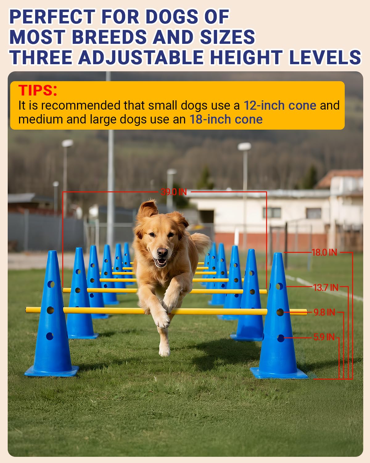 Agility-Kurs-Hinterhof-Set, Agility-Hürden-Kegel-Set für Hunde