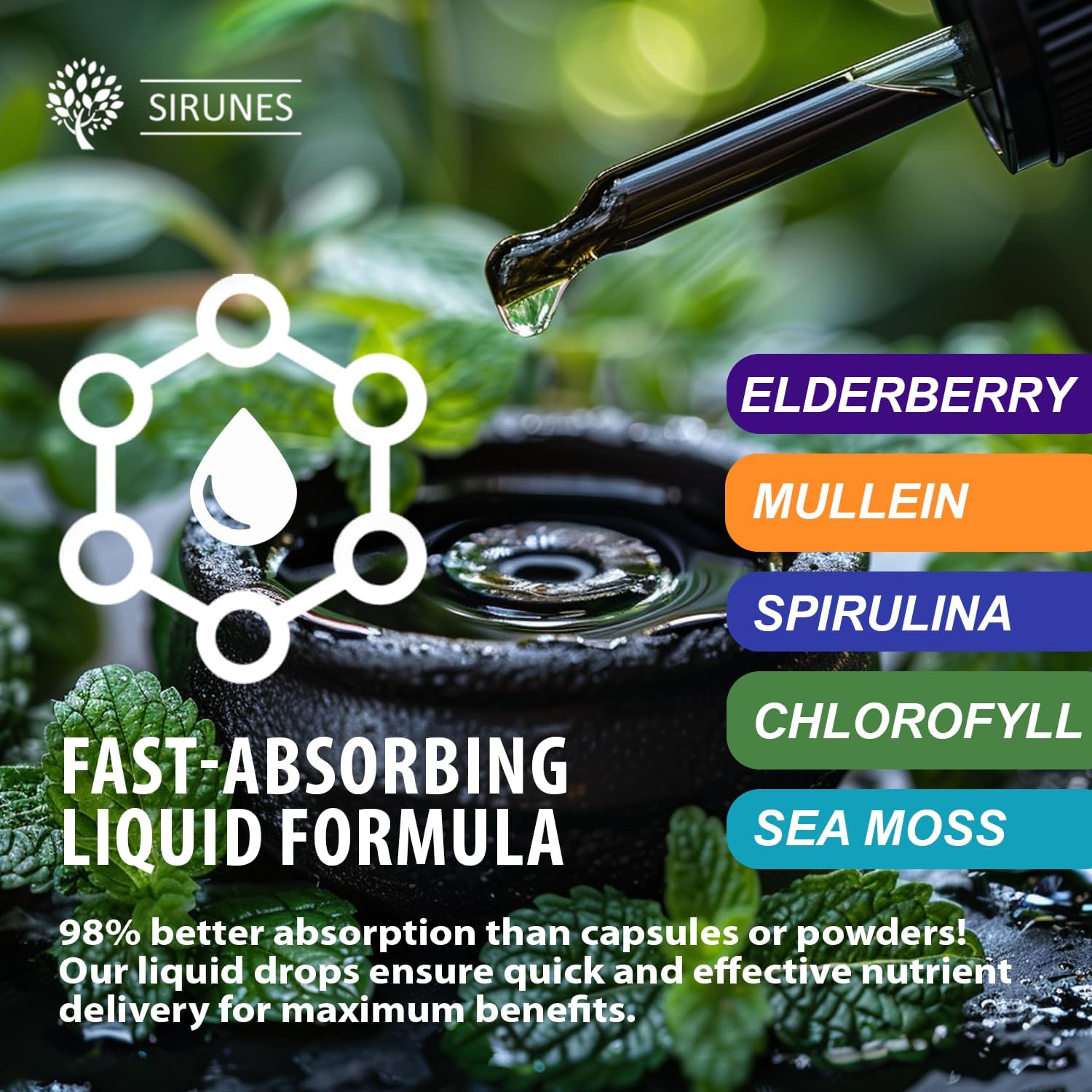 SIRUNES Mullein Herbal Drops with Chlorophyll, Irish Sea Moss, Spirulina & Elderberry – 4 fl oz – Daily Respiratory & Immune Wellness Supplement - Image 3