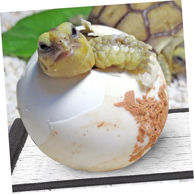 3 Calentadores Autocalentables para Reptiles BESTonZON - Alfombrilla Térmica miniatura 4