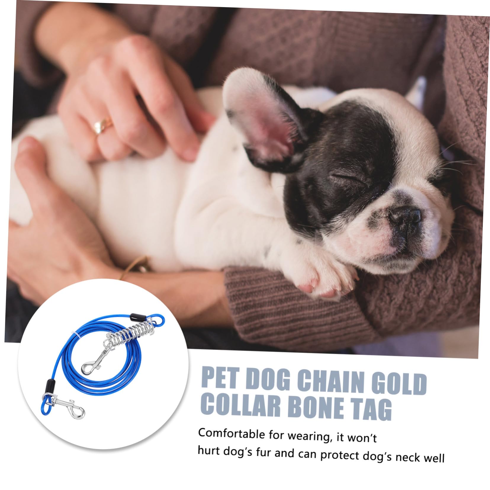 Laisse Chien Solide avec Crochet Pivotant et Ressort Amortisseur Câble pour Petit et Moyen Animal Attache Rapide et Flexible sans Nœuds