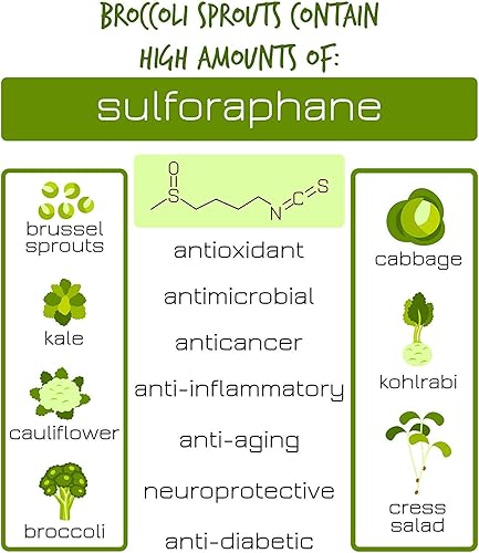 Miniatura 3 de Semillas orgánicas comestibles de brócoli. de Handy Pantry. Semibles comestibles, jardinería, cultivos hidropónicos, orgánicos microverdes, cultivos