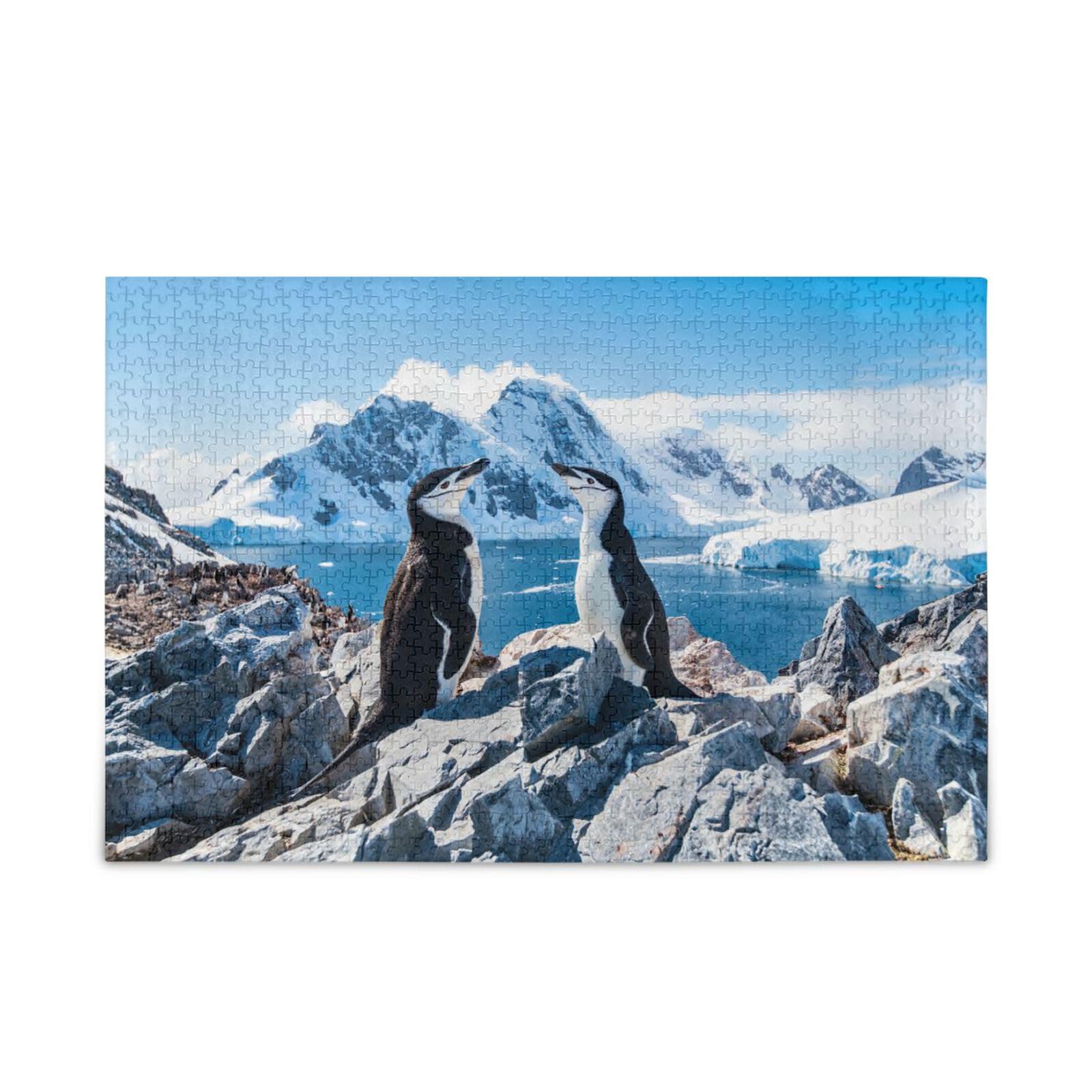 Chinstrap Penguin Antarctica January Wooden Jigsaw Puzzles for Adults, 1000 Pieces Gift for Adults and Kids Puzzle for Family Game Play