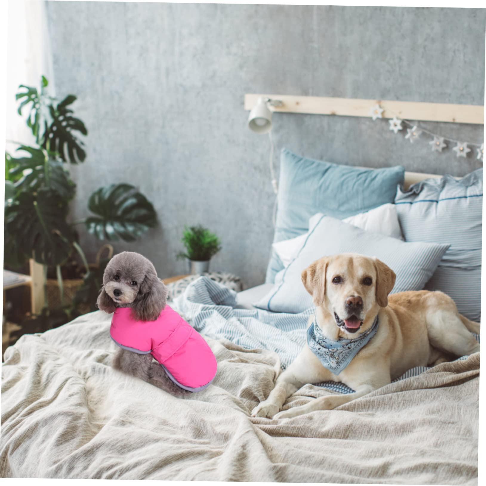 Kisangel 3 Stücke Bis Große Hunde Mäntel Hund Jacke Reversible Fleece Reflektierende Wärme