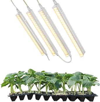 RWNTAO Grow Lights for Indoor Plants, 3000K Full Spectrum, 1FT Plant Growing Lamp with Side Switch, LED Growing Light Bulbs, T5 Growth Light Strip, Plug and Play, 4-Piece Set