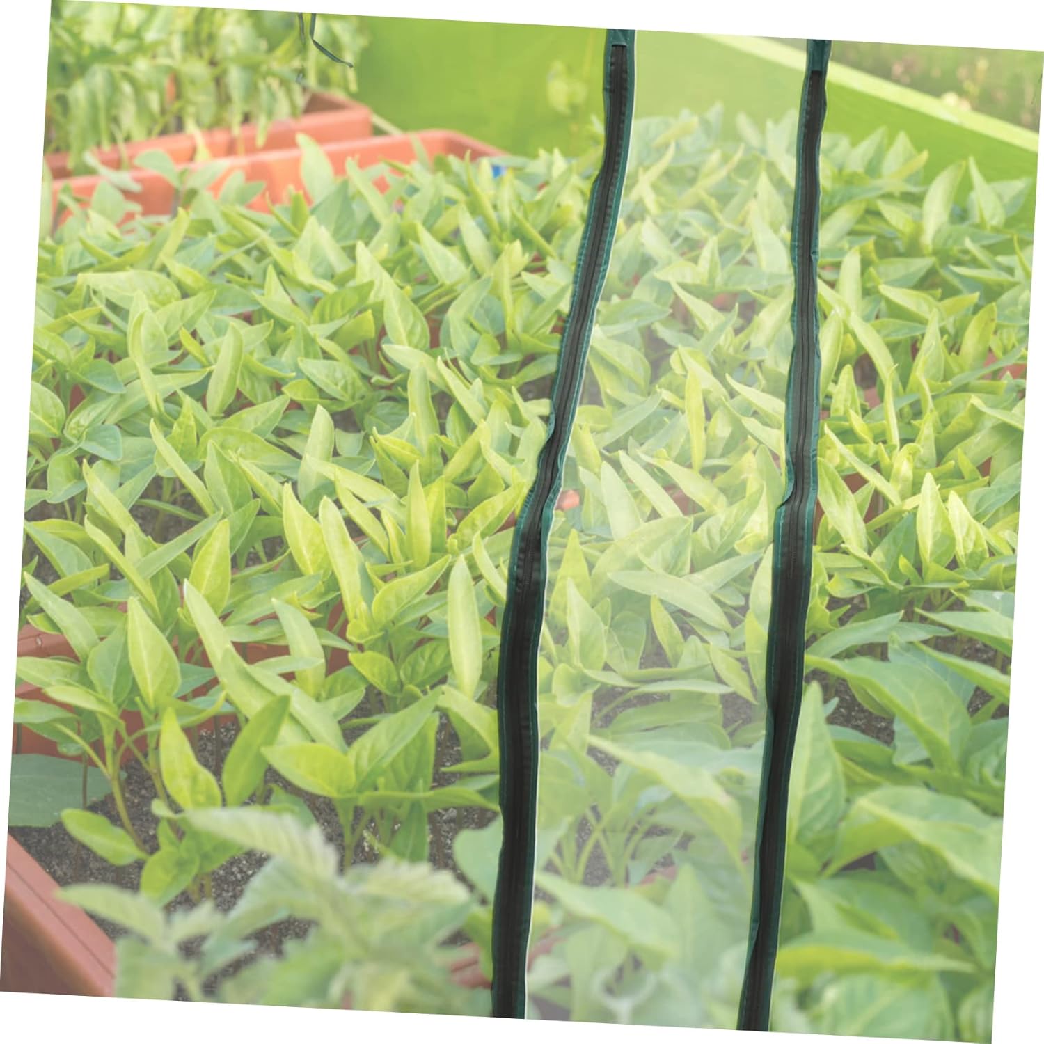 Mini Greenhouse Replacement Cover with Up Zipper Door Garden Shelter for Indoor and Outdoor Plants Weather Resistant Sunshade for Potted Flowers and Vegetables