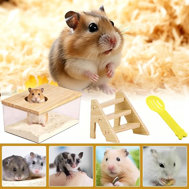 Foto 4 de 6 de Tkxjry Rectángulo Casa Hamster, Casa De Baño para Hamster, Transparent Sand Box For Pet Hamsters Cages