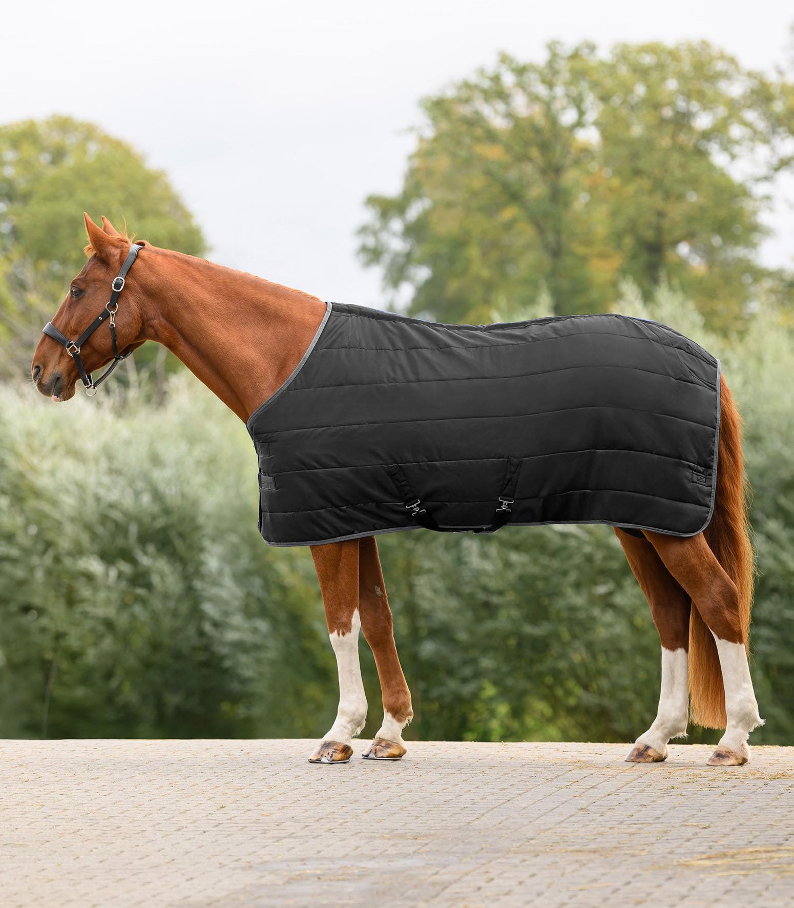 WALDHAUSEN Economic - Manta de establo (100 g, 115 cm), color negro