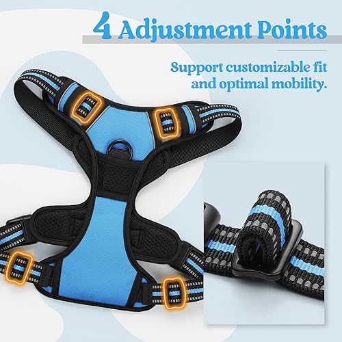Vista 373 de rabbitgoo - Arnés antitirones para perro grande, con 2 aros para correa, acolchado suave, ajustable, tela Oxford, reflejante, no asfixia, chaleco