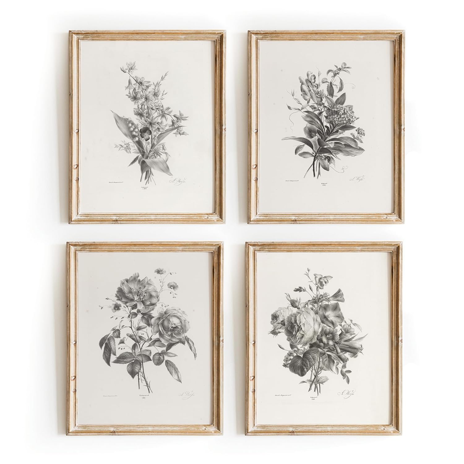 Set 4 Vintage Botanical Wall Art, Sketch Print Vintage