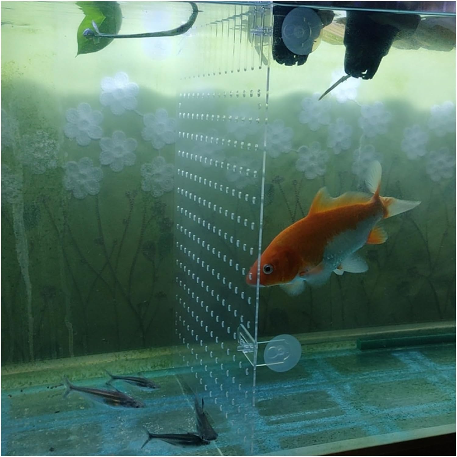 Acrylic Fish Tank Divider Clear Kit, Tank Divider with Suction Cup/Fish Tank Aquarium Accessories, Adjustable Aquarium Fish Tank Divider Filter for Baby Fish,One Color-40x70cm/15.7x27.5in