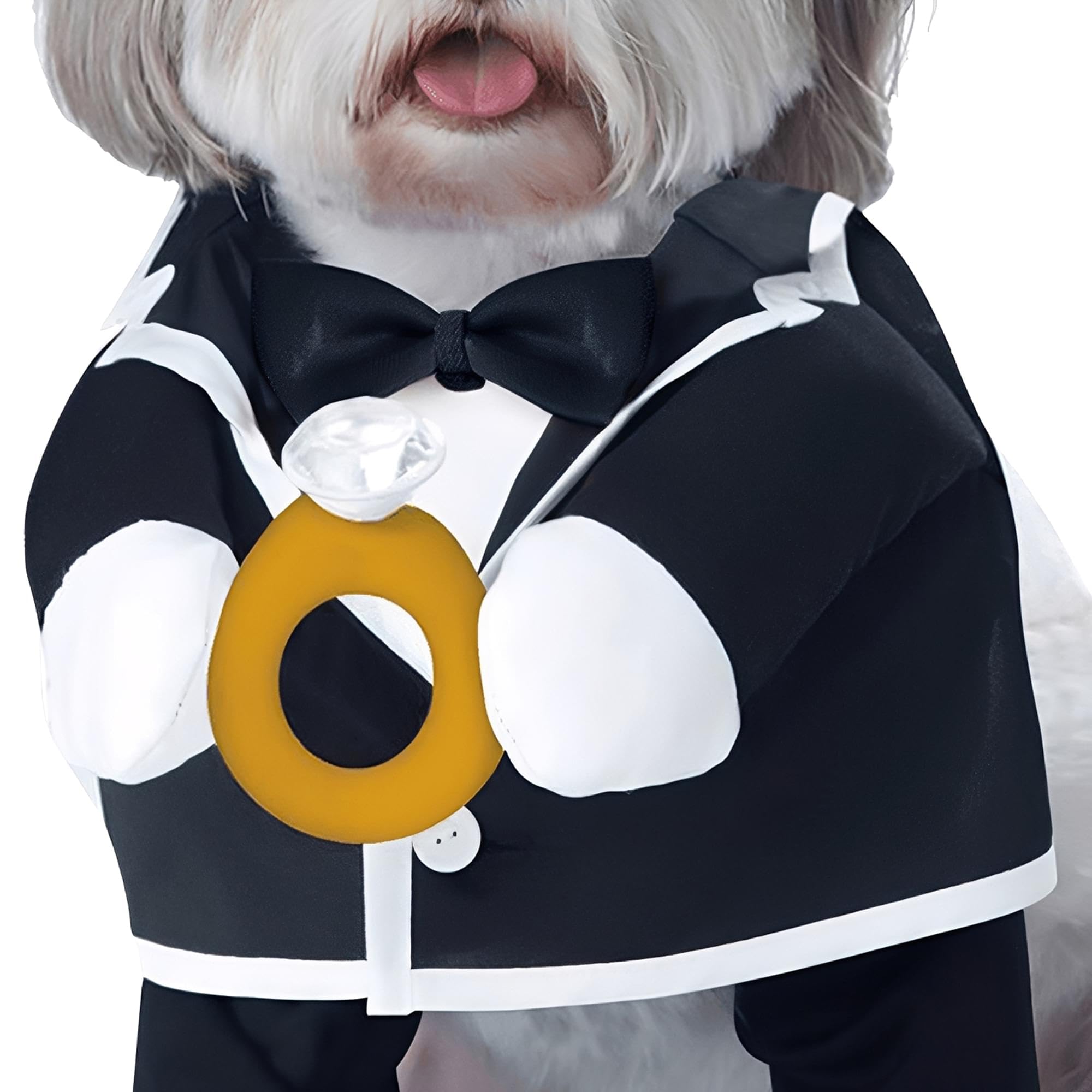 California costume Collections pup-a-razzi Puppy love-groom Dog costume, nero/bianco, piccolo