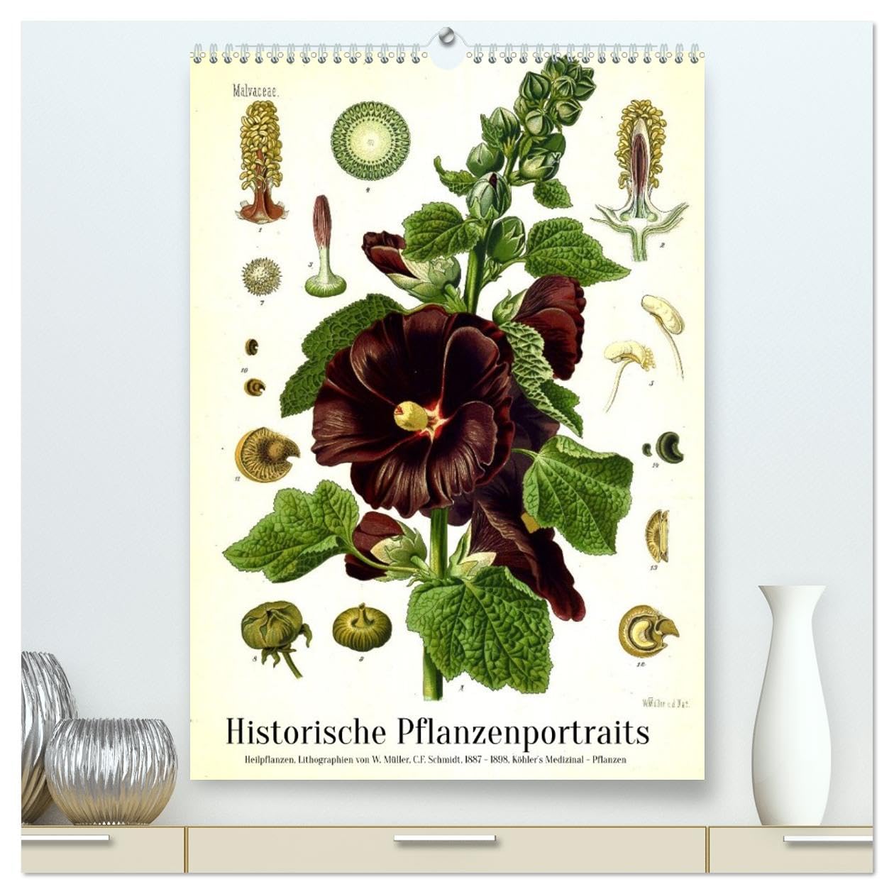 Historische Pflanzenportraits - Heilpflanzen Lithographien von W. Müller (hochwertiger Premium Wandkalender 2027 DIN A2 hoch), Kunstdruck in ... Detailtreue und Farbigkeit. (CALVENDO Natur)