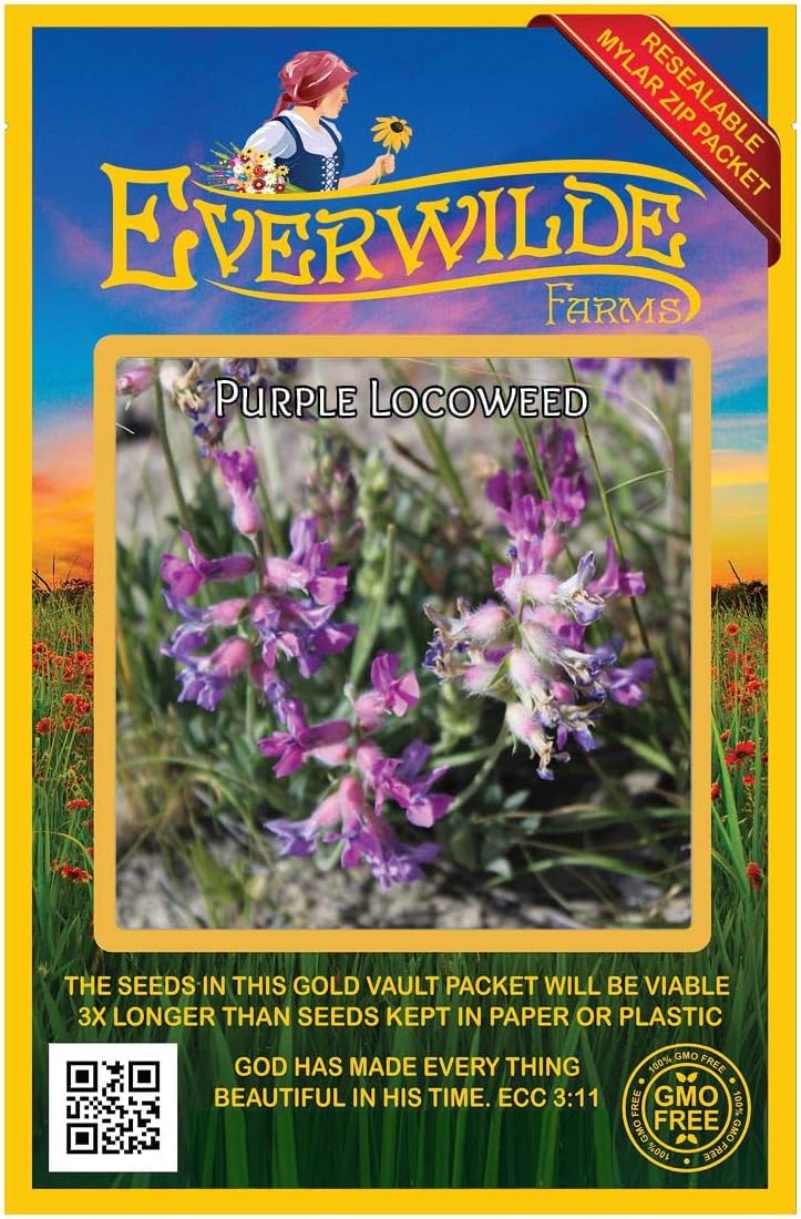Everwilde Farms - 1 Oz Purple Locoweed Native Wildflower Seeds - Gold Vault