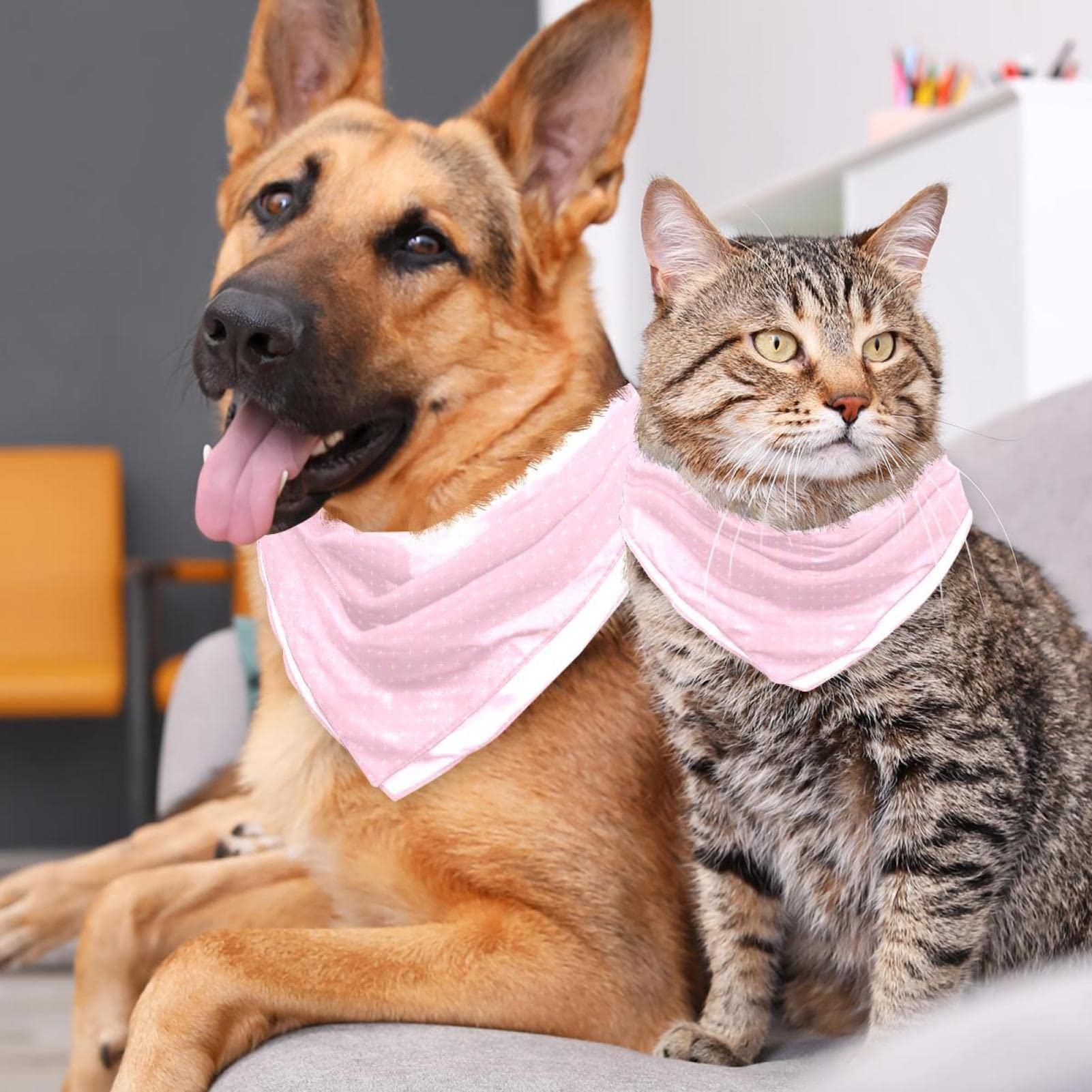 Oster Hundehalsband 2 Stück – Blau & Rosa Kariert, Verstellbar Für Kleine Bis Große Hunde