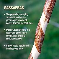 Vista 3 de Brazos Rustic Wood Walking Stick, Twisted Sassafras, Traditional Style Handle, for Men & Women, Made in The USA