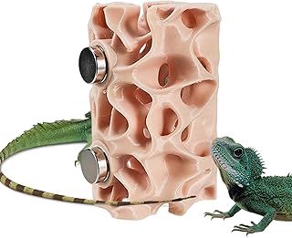 Phelsuma pusilla飼育書
