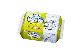 大王製紙　エリエール　トイレに流せるおしりふき　48個セット 大王製紙 エリエール トイレに流せるおしりふき 48個セット