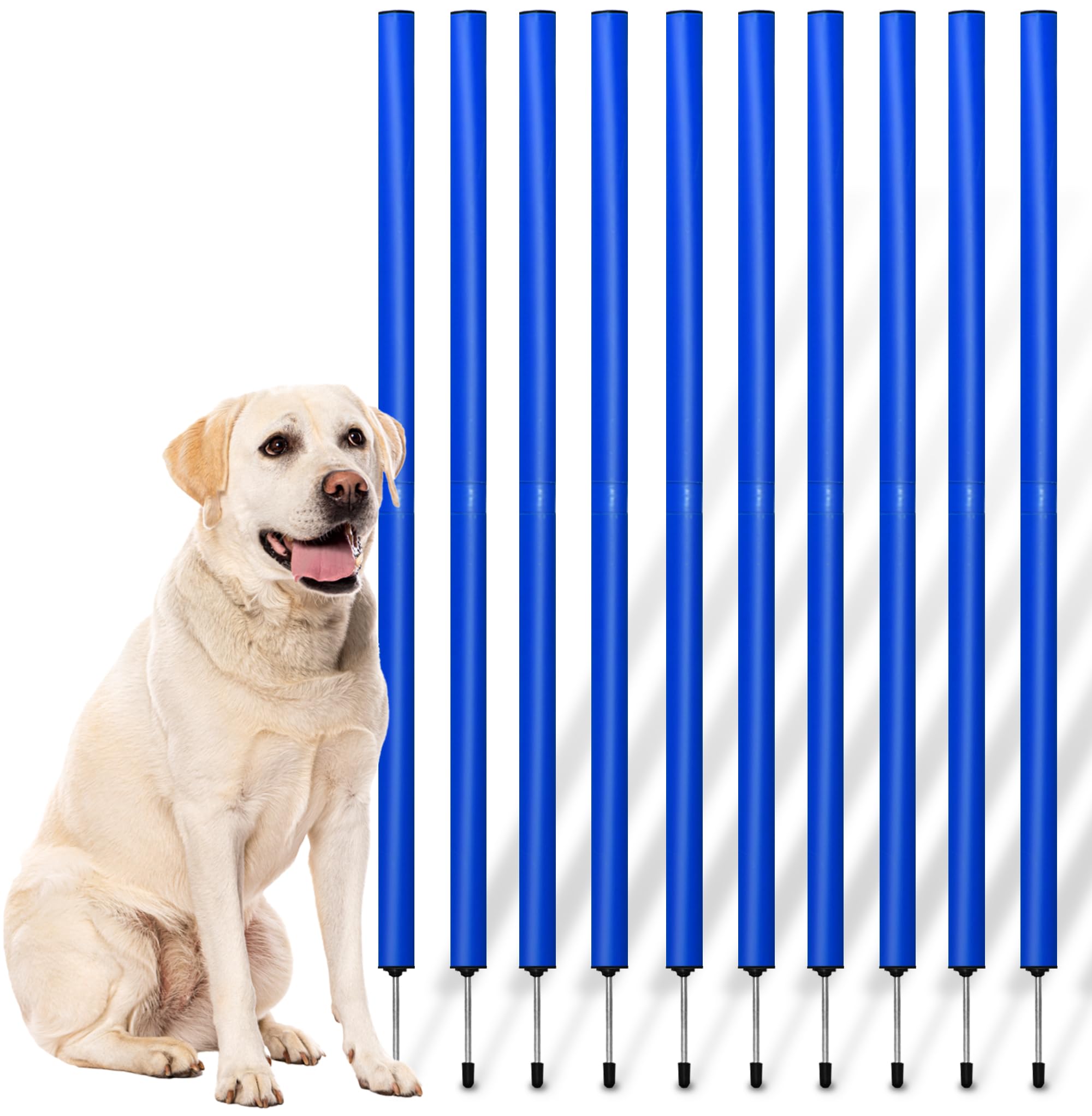 PfotenWunder® 10 aste per slalom, set professionale di slalom agility, grande, sport per cani di piccola e grande taglia Cavaletti Parcour accessori