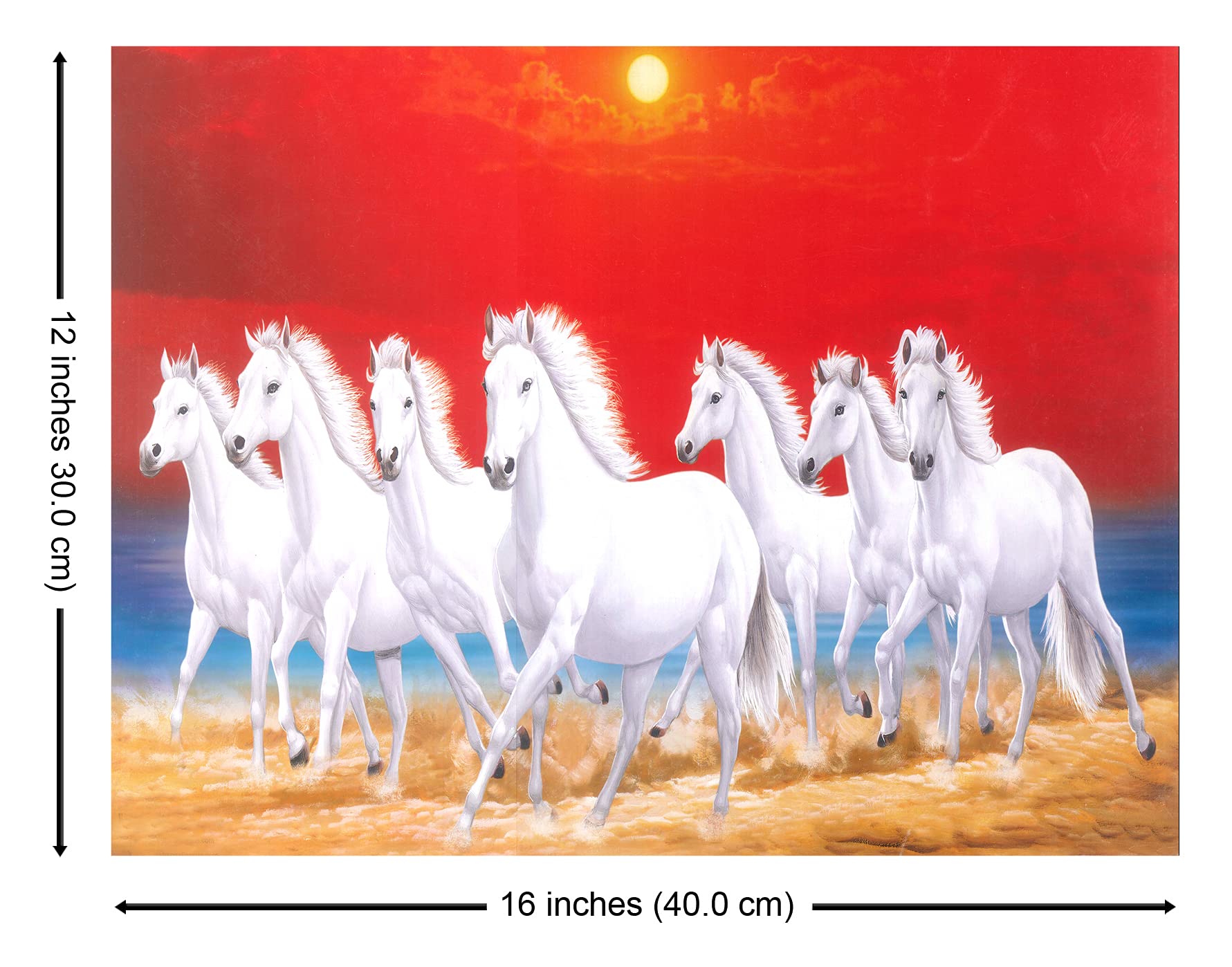 Amazon.com: Seven 7 White running horses at sunset time in forest