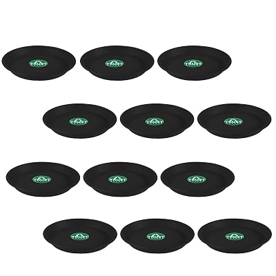TrustBasket UV Treated Round Bottom Tray(Plate/Saucer) Suitable for 6 inch Round Plastic Pot - Black Color-Set of 12 | H