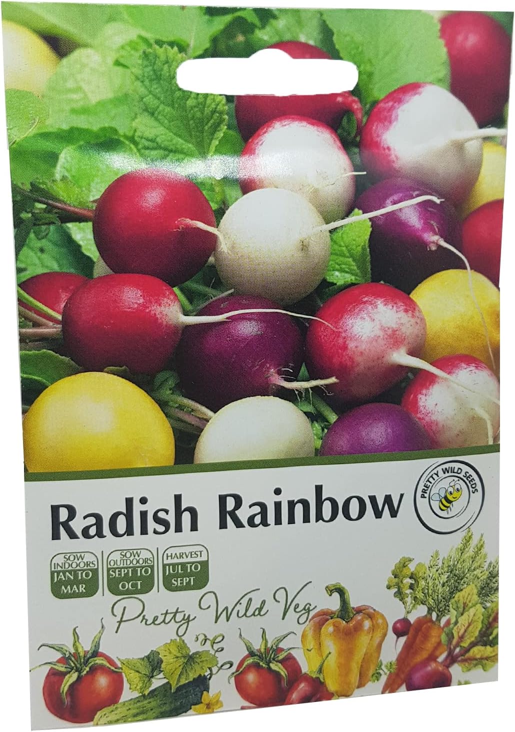 Radish Rainbow Seeds in Pictorial Packet from a UK Seller Amazing Variety Produces Red, Pink, White & Yellow Radishes