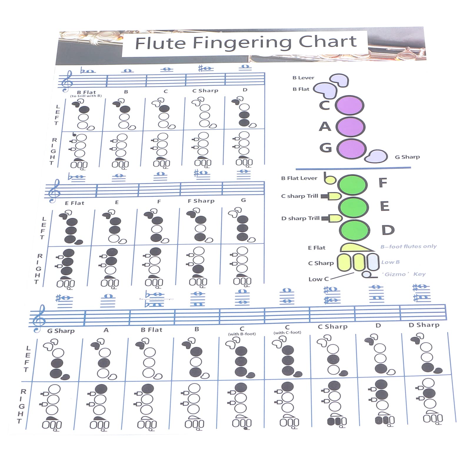 amazon-com-flute-chord-chart-portable-flute-fingering-chord-chart-coated-paper-flute-fingering-practice-chart-beginner-student-practice-teaching-aids-instrument-flute-fingering-chart-for for Free Flute Finger Chart Printable Amazon.com: Flute Chord Chart, Portable Flute Fingering Chord Chart Coated Paper Flute Fingering Practice Chart Beginner Student Practice Teaching Aids Instrument (Flute fingering chart for for Free Flute Finger Chart Printable