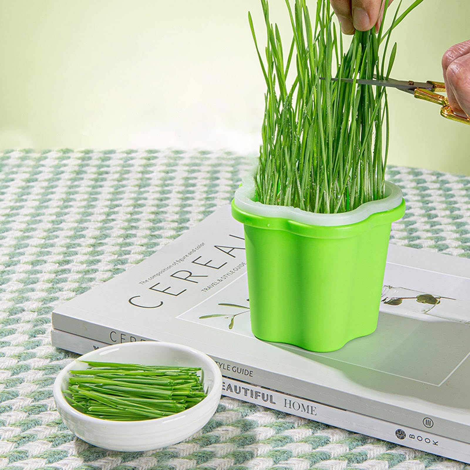 Set Coltivazione Germogli - Vassoio Con Fori Di Drenaggio, 26x26x13 Cm, Per Erba Di Gatto E Semi Medici - Foto 7