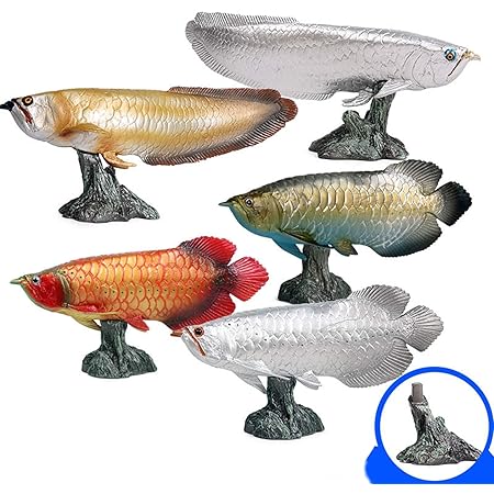 Amazon Eden Toys アジアアロワナ 紅龍 龍魚 淡水魚 プラモデル 模型 大人 誕生日 プレゼント 贈り物 リアル フィギュア Pvc おもちゃ 家 車 塗装済 完成品 インテリア 置物 オプジェ 飾り 台座付き 5体セット フィギュア ドール 通販