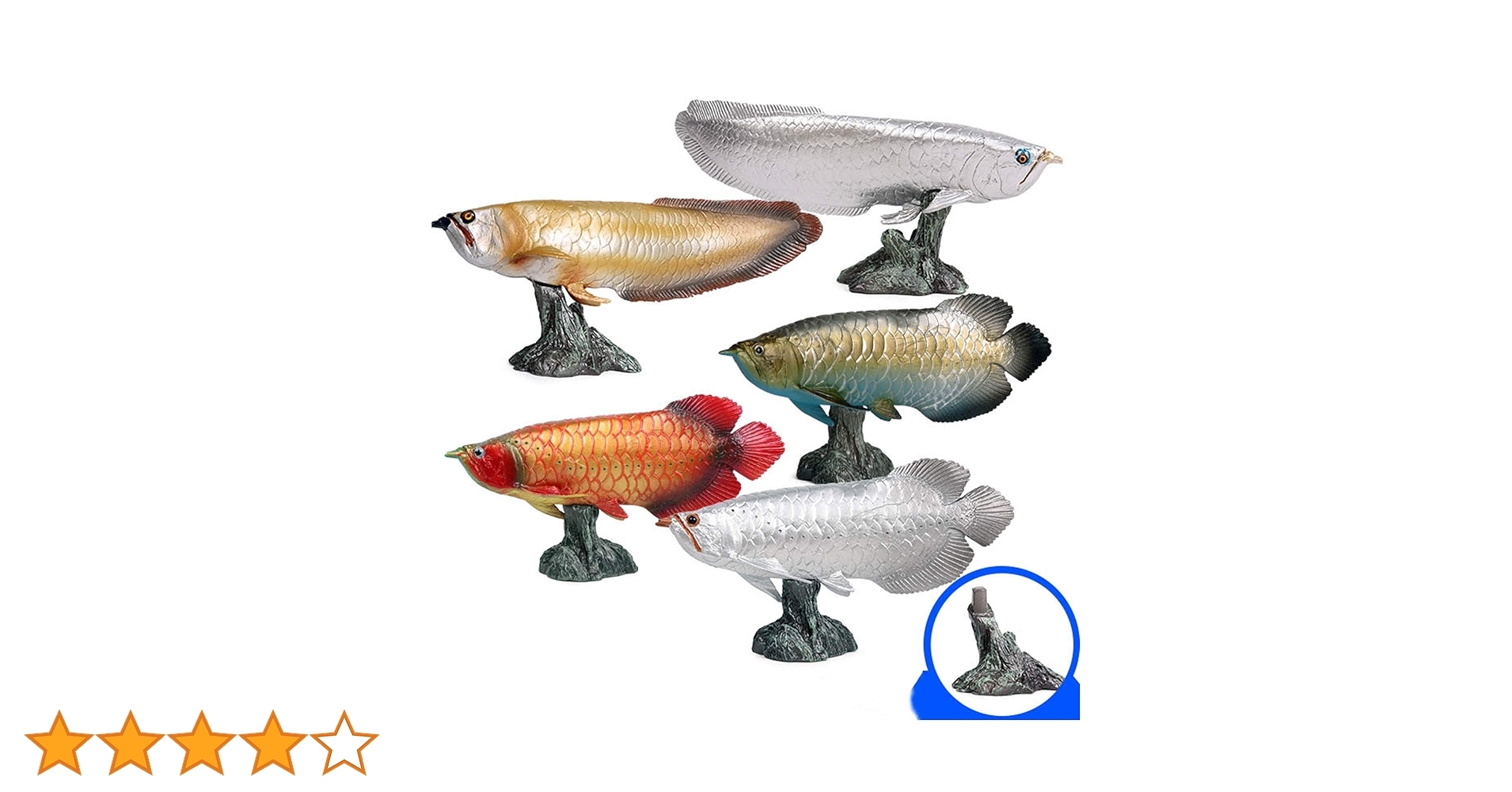 Amazon.co.jp: Eden Toys アジアアロワナ 紅龍 龍魚 淡水魚