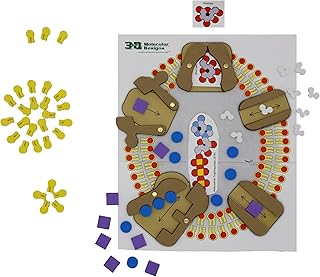 Membrane Student Modeling Pack©