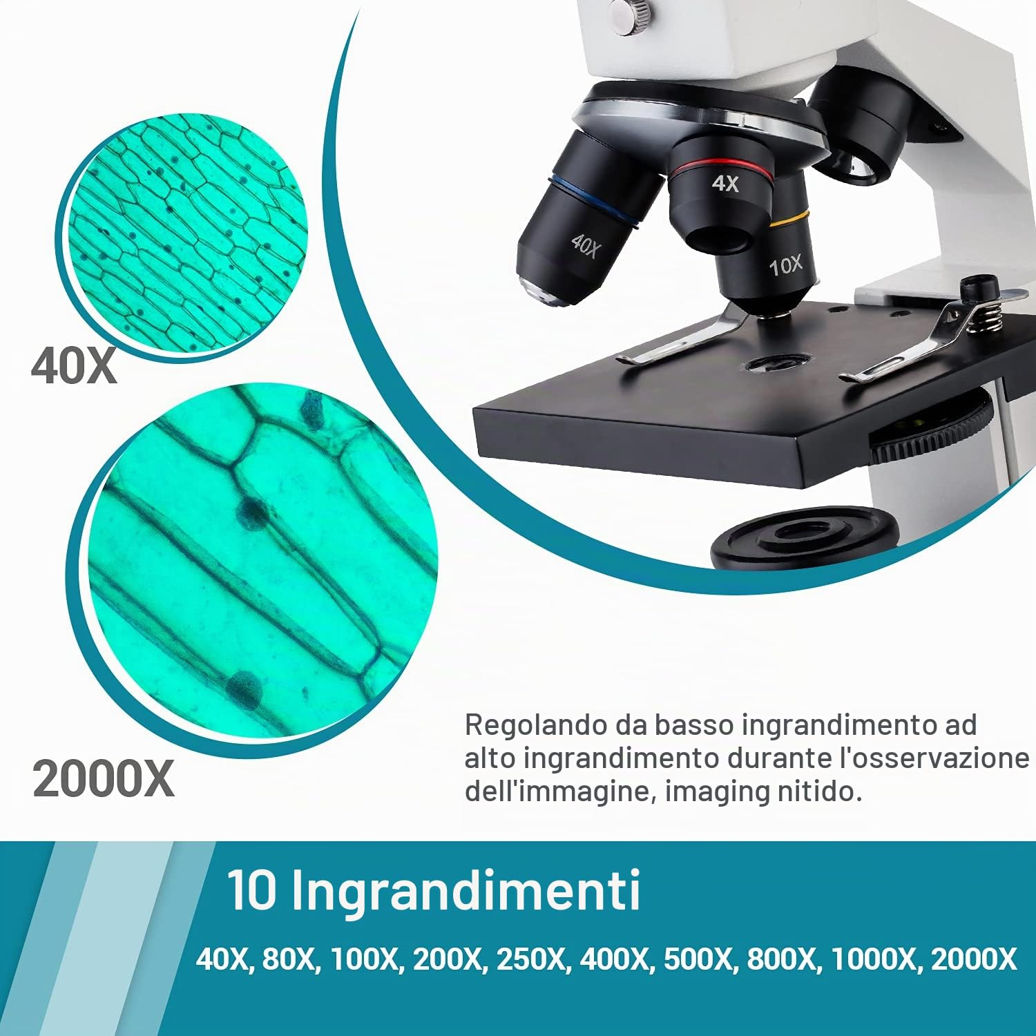 Microscopio per Bambini Studenti Adulti 250X-2000X Composti Biologic Microscopio Ottico per l'istruzione di ricerca scientifica biologica domestica del laboratorio scolastico