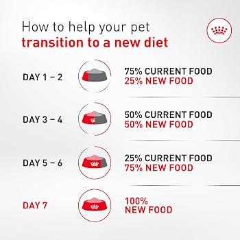 Amazon.com: ROYAL CANIN Corgi Puppy Dry Dog Food, Kibble for