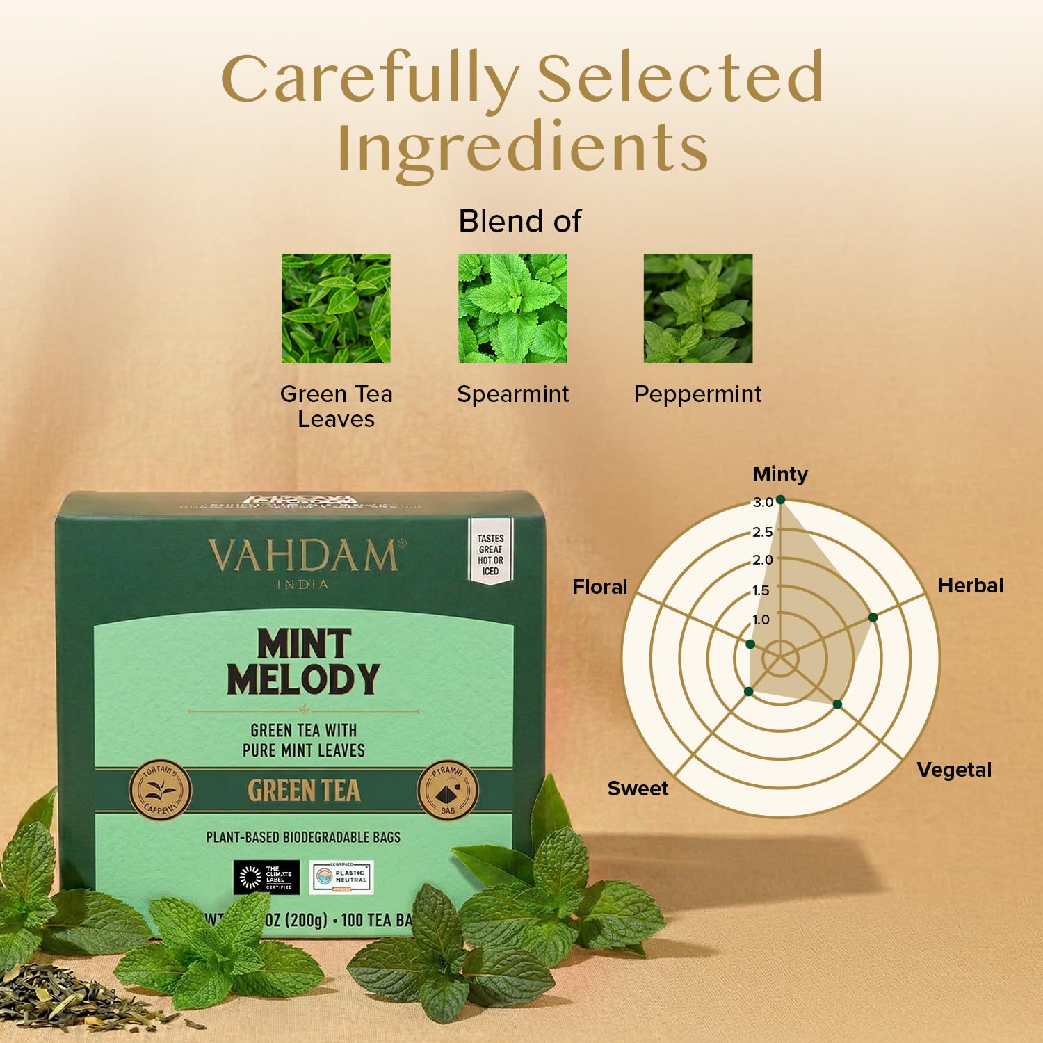 VAHDAM, Tè Verde alla Menta (100 Bustine) Basso Tenore di Caffeina | Te Verde in Foglie di Prima Qualità | In Bustina Richiudibile con Chiusura Ermetica | Tè Verde di Alta Quota