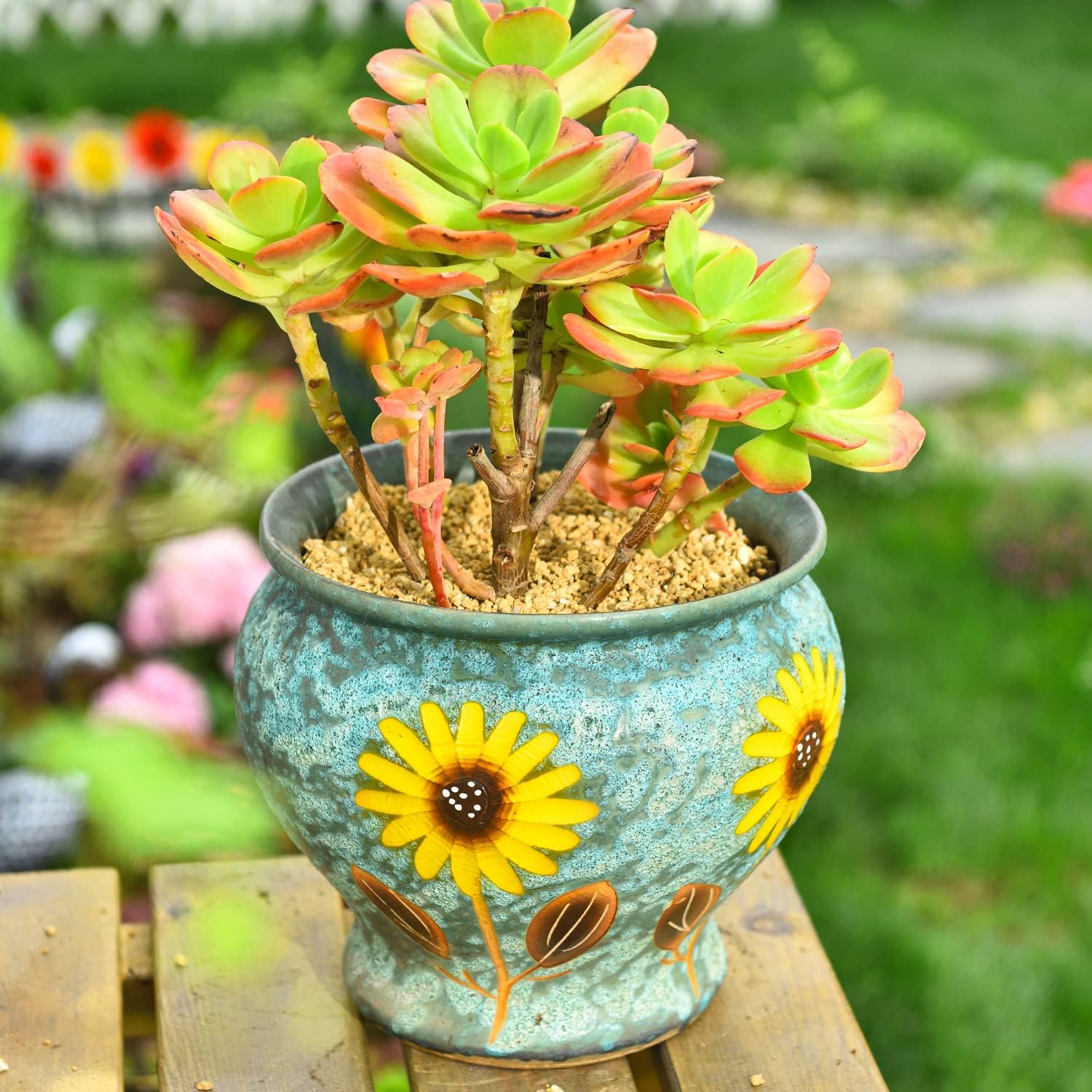 Sungmor Ceramic Planter Pot with Drainage Hole, Indoor Outdoor Large Succulent Flower Pot, 9 Inch Hand Painted Clay Plant Pot, Decorative Ceramic Planter Container