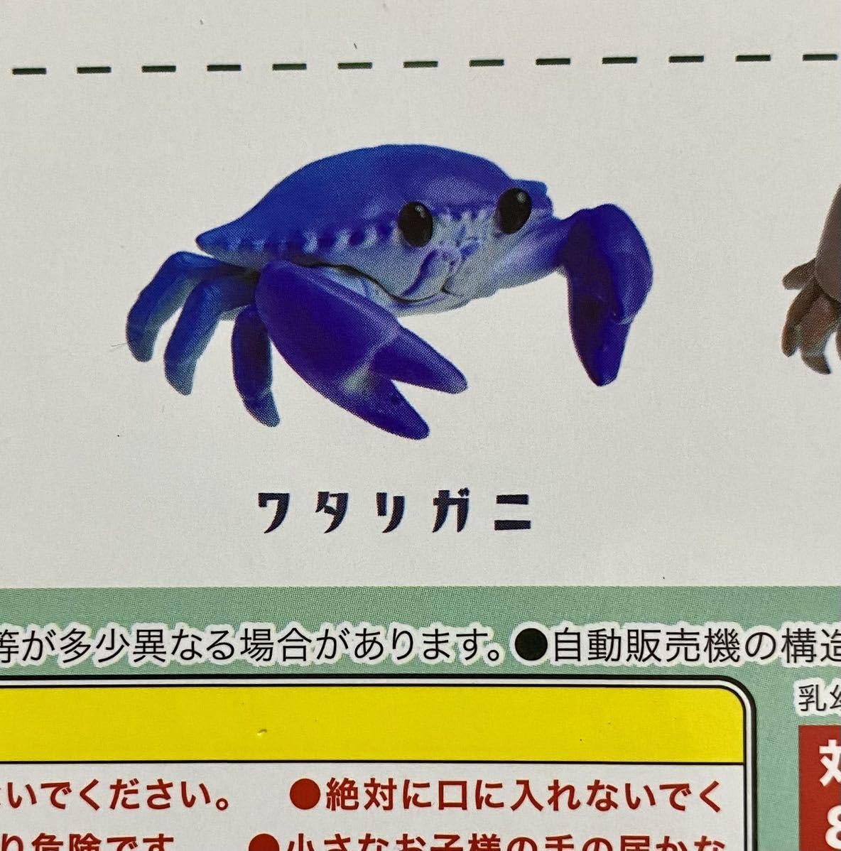 Small Crab 　カニ　ミニチュア Small Crab カニ ミニチュア