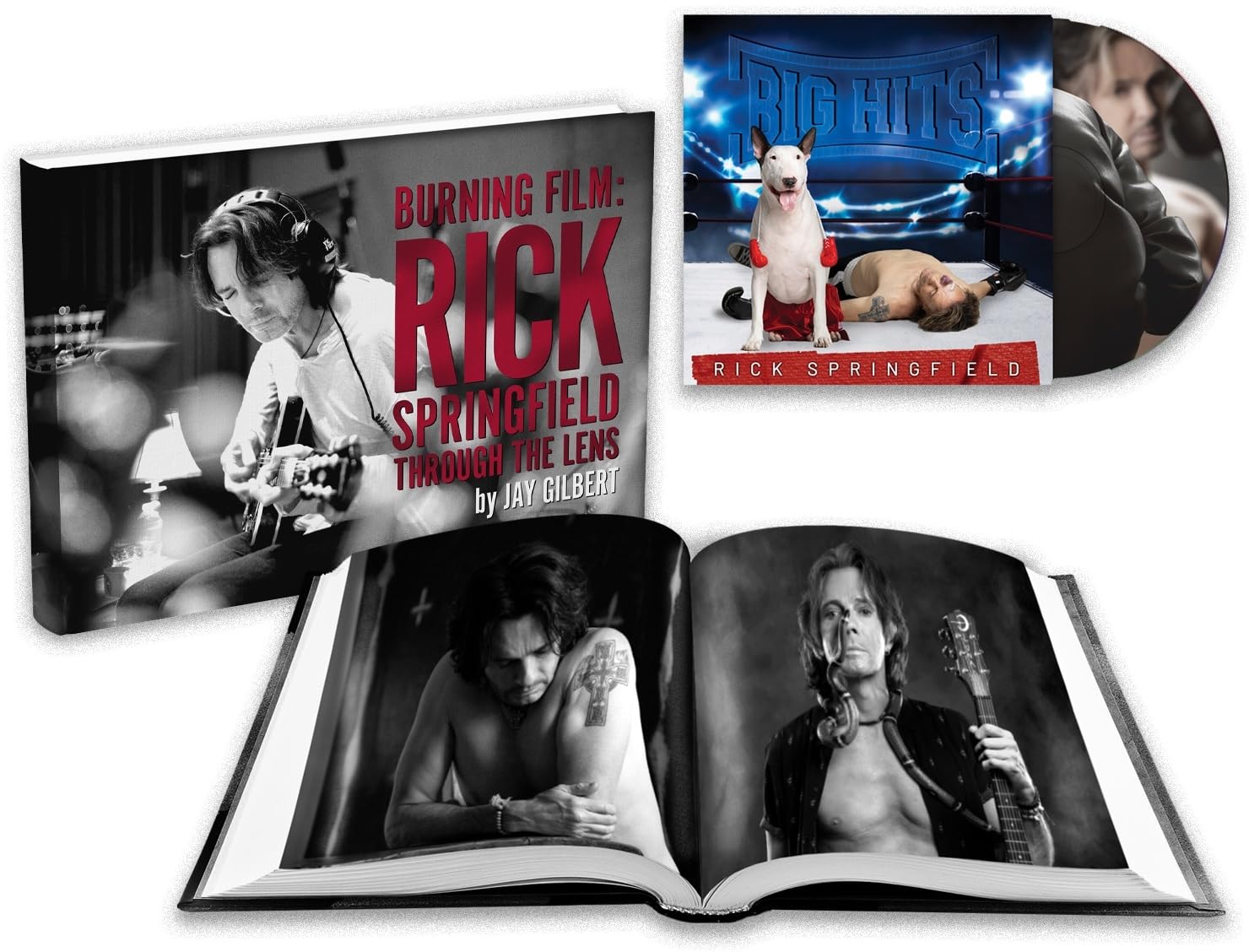 Big Hits: Rick Springfield's Greatest Hits, Vol. 2 (Special Edition) Thumbnail