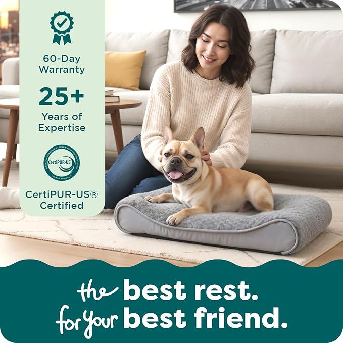 Cama Ortopédica para Perros Mediana con Funda Lavable miniatura 9