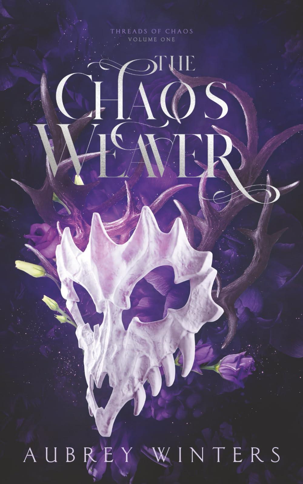 The Chaos Weaver: The Chaos Chronicles Book 1 (Threads of Chaos)