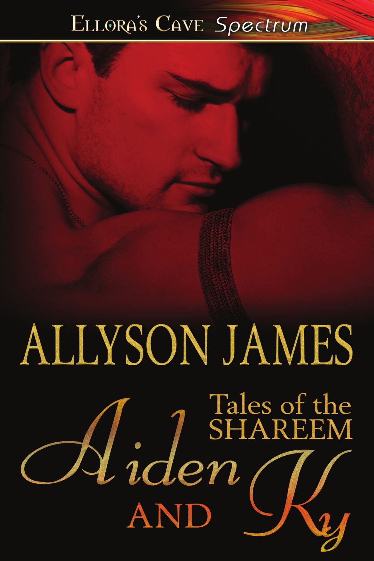 Buy Aiden and KY — BookShops.in
