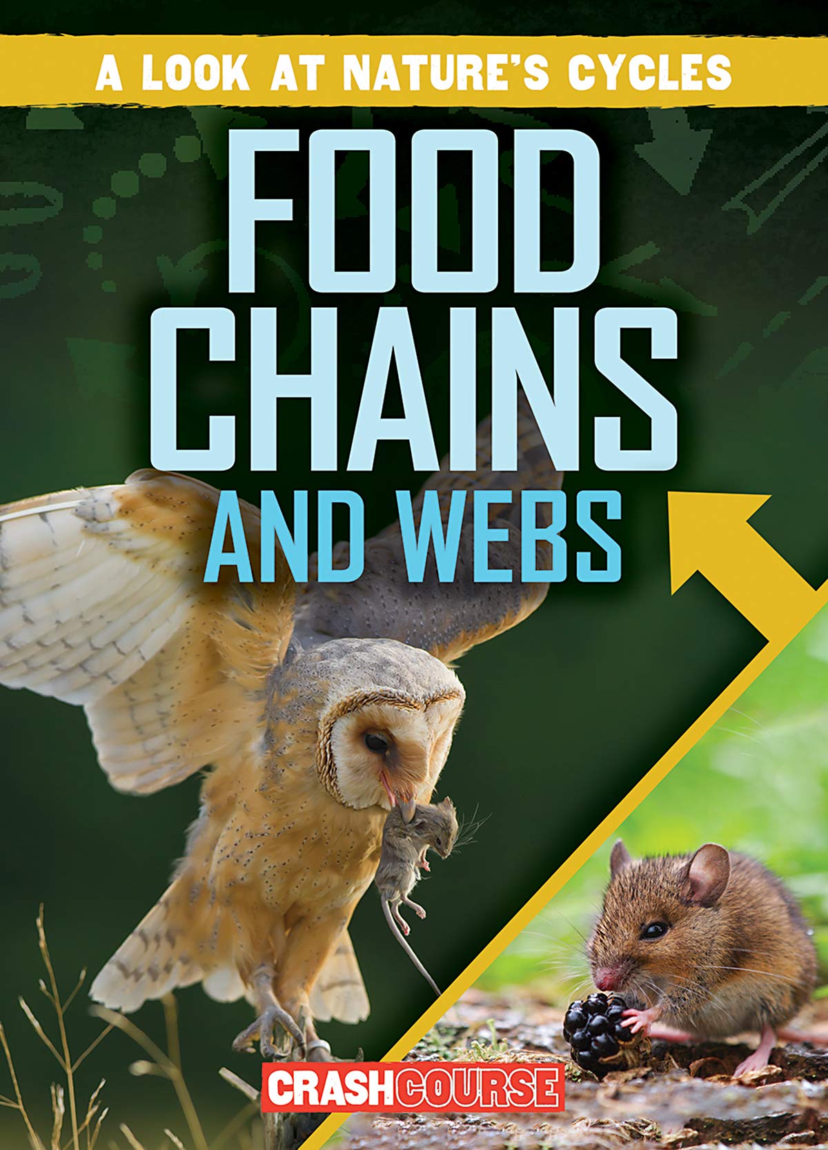 Food Chains and Webs (Look at Nature's Cycles) Paperback – July 30, 2019