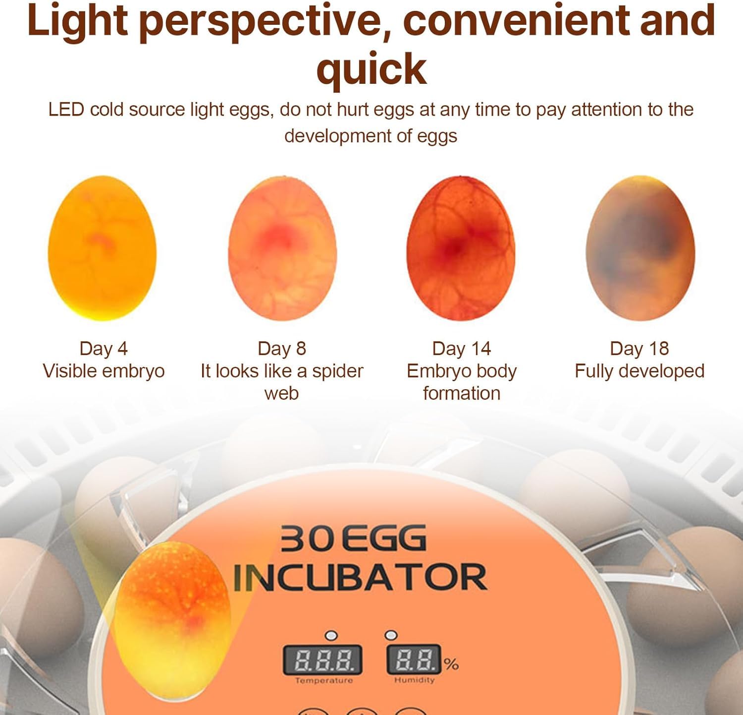 Incubadora automática de huevos con control de temperatura y pantalla de humedad, capacidad de 30 piezas para incubar codorniz, pato, pollo, paloma