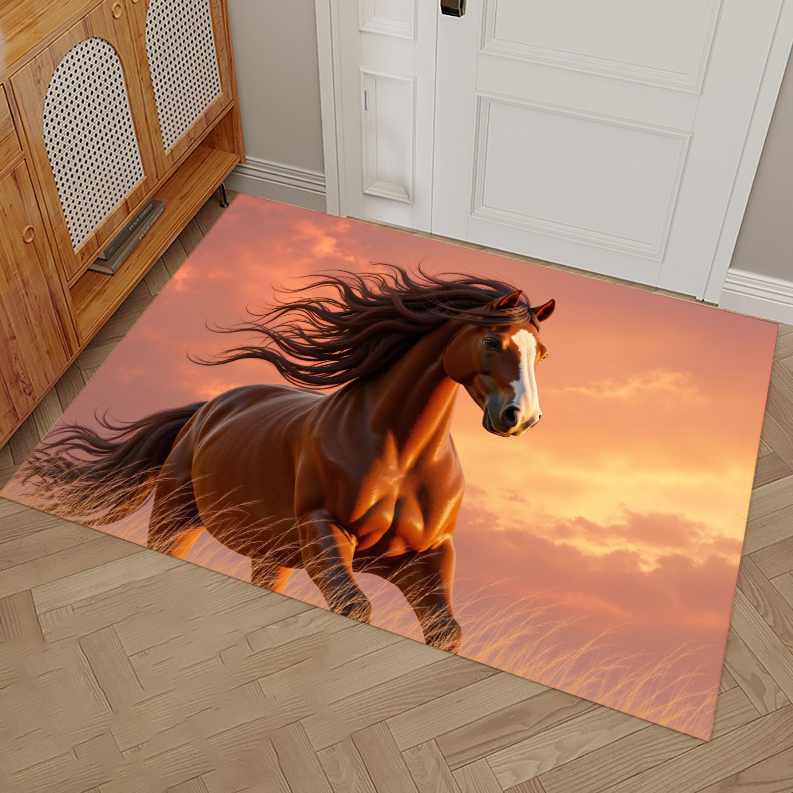 Tapis de porte lavable antidérapant 60x90 cm pour cuisine et entrée