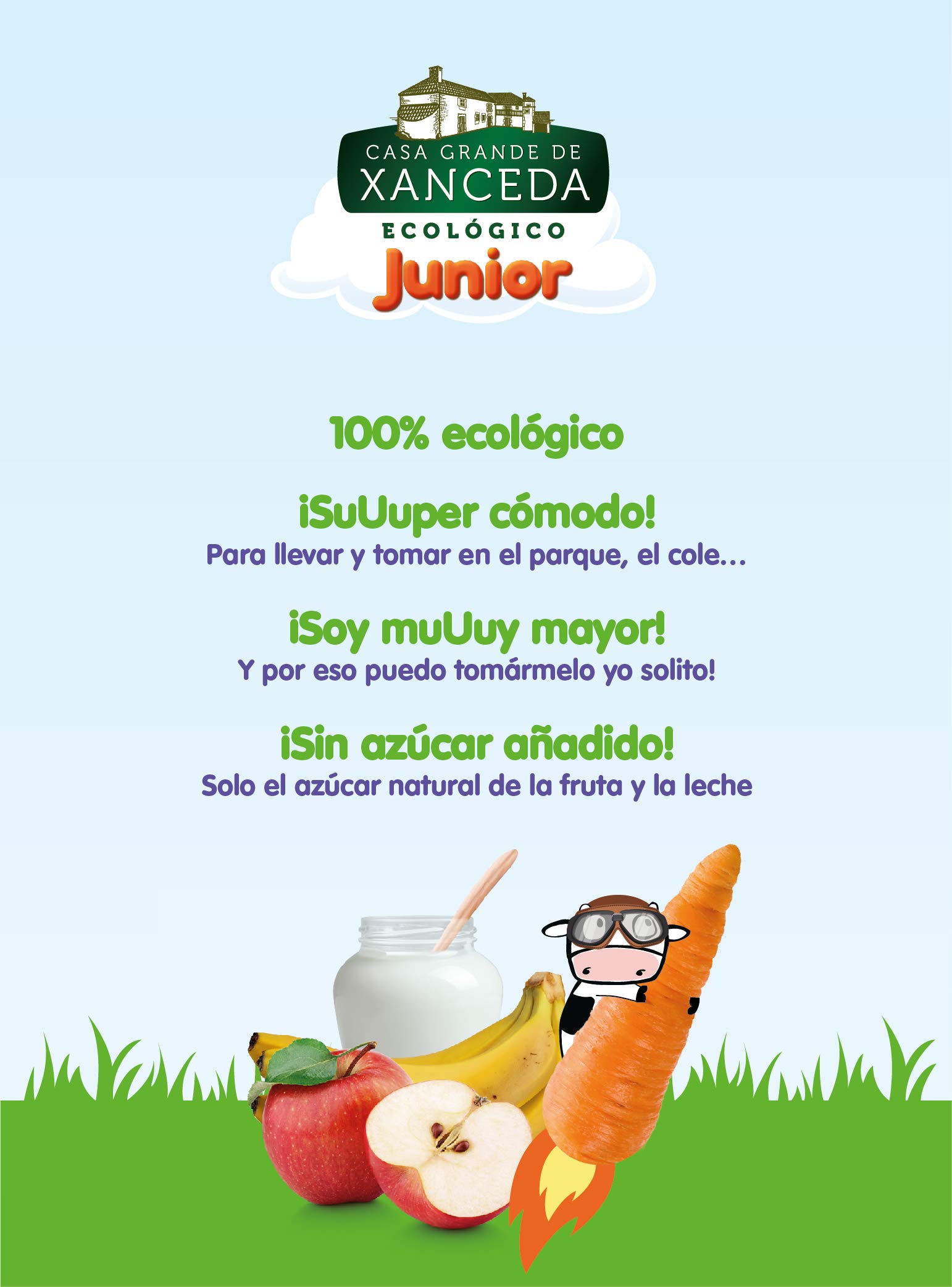 Bolsita de fruta y zanahoria con yogur ecológico Casa Grande de Xanceda 14 uds x 90g