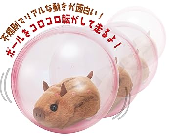 RUN RUN MOUSE 動くぬいぐるみ おもちゃ ギフト Amazon.co.jp: サンエックス(San-X) すみっコぐらし ぬいぐるみ
